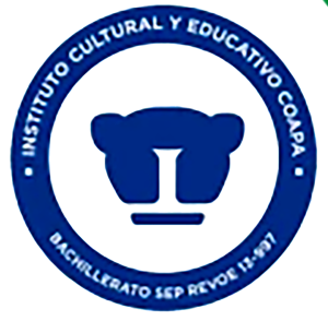 instituto educativo coapa